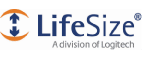 LifeSize